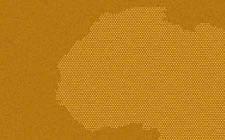 A Juggling Act: How West Africa is Reclaiming Power in Investment Deals