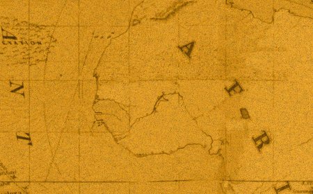 Disability Inclusion in ECOWAS's Peace, Security, and Prosperity Agenda