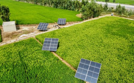 Pragmatic pathways for aligning climate and trade regimes with African green technology ambition