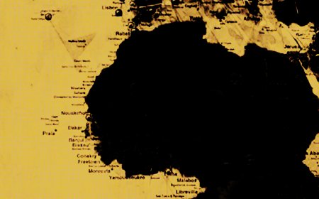 A Critical Assessment of ECOWAS' Role in Safeguarding Democracy in West Africa