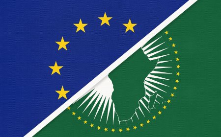 Europe and Africa at 25: partnership in an age of shared vulnerability