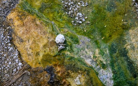 Das globale Rennen um kritische Rohstoffe: Implikationen für Afrika (EN)