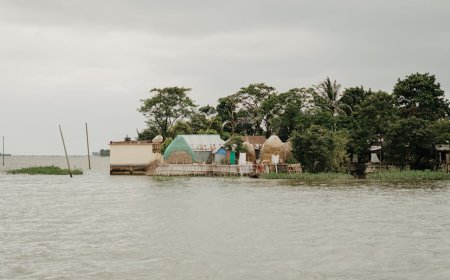 Climate Adaptation Strategies, Initiatives, and Practices: Issues and Pathways in West Africa