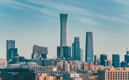 Beyond the Flying Geese: What the 15th Five-Year Plan Means for Africa, Europe and the World