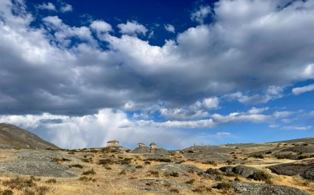 The Anthropologist in the Room: Reflections on an Unsettled Year