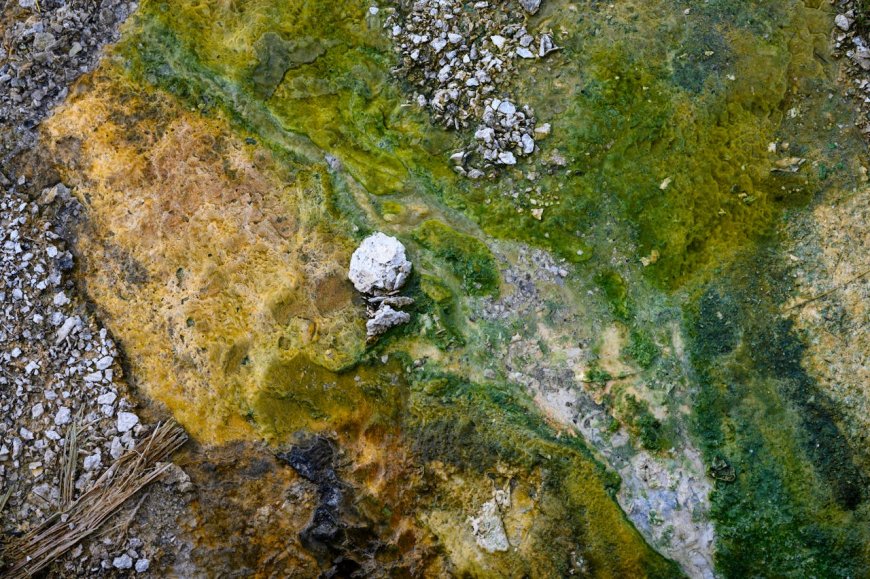 Das globale Rennen um kritische Rohstoffe: Implikationen für Afrika (EN)