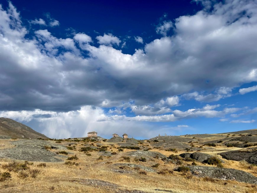 The Anthropologist in the Room: Reflections on an Unsettled Year