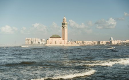 Zusammenarbeit in Zeiten des Wandels: Stärkung der deutsch-senegalesischen Partnerschaft in Zeiten globaler Neuausrichtung (EN)
