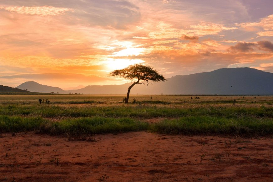 A country-platform playbook for scaling adaptation finance