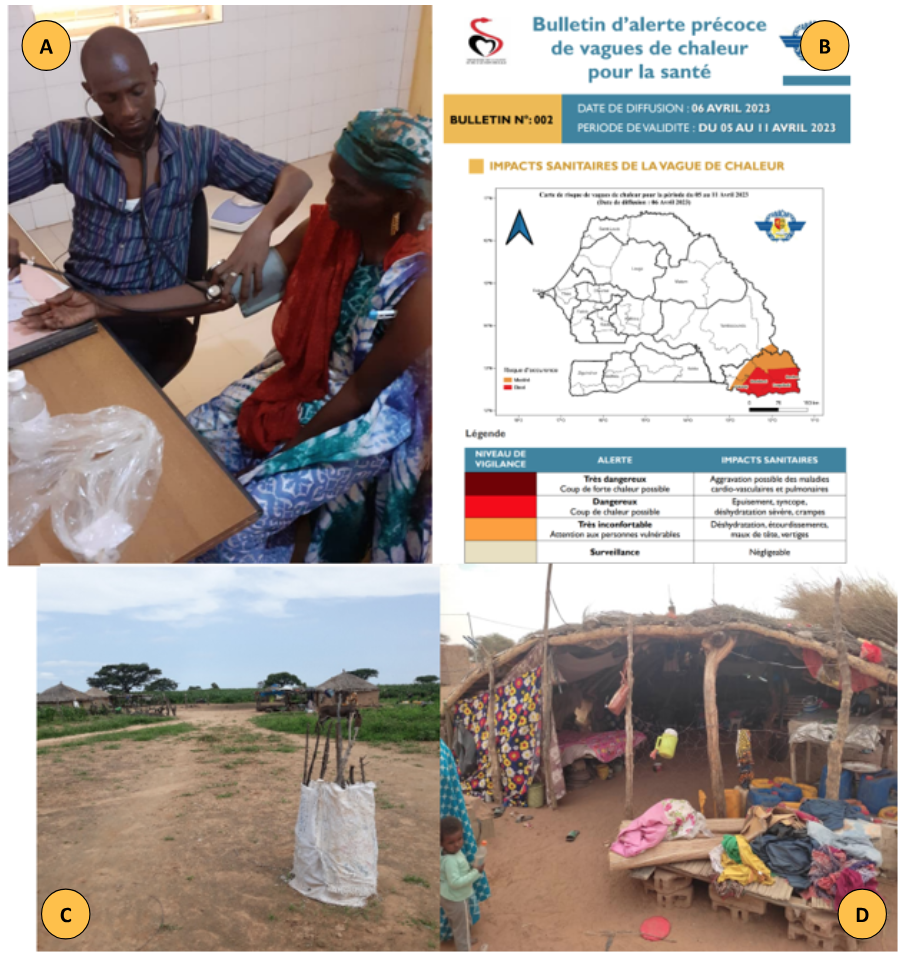 Picture board of local community adaptation practices to health risk resilience in Widou Thiéngoly